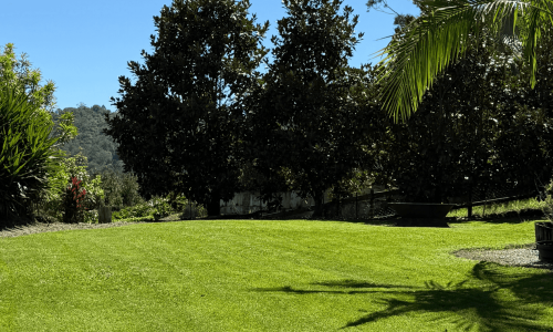 35096af0 a02e 4008 b009 1badea395f5c landscape optimized 2000